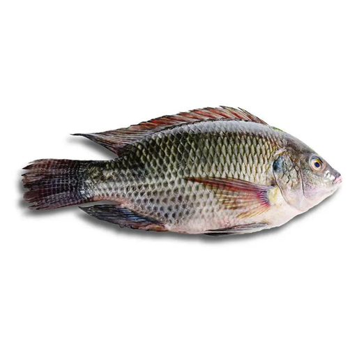 Tilapia Entera 350-550 Marimex