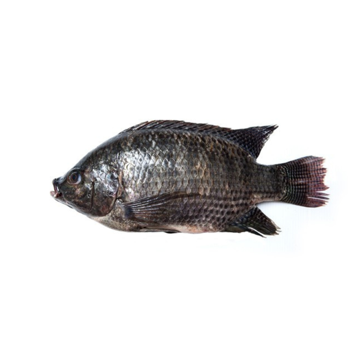 Tilapia Entera 350-550 Marimex 100%